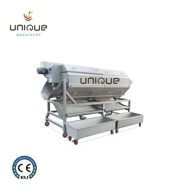 Linea di lavaggio automatico di asparagi per radici e verdure con estrattore di frutta e verdura