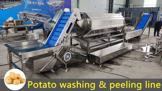 Linea di lavaggio automatico di asparagi per radici e verdure con estrattore di frutta e verdura