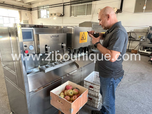 Macchine per la depollazione e la depollazione delle mele elettriche per frutta perfettamente preparata