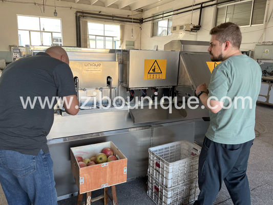 Macchine per la depollazione e la depollazione delle mele elettriche per frutta perfettamente preparata