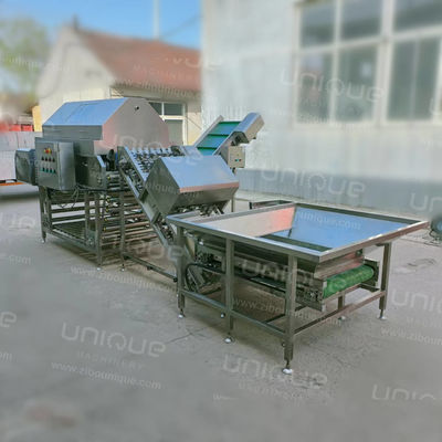 Linea automatica di lavorazione delle cipolle con la macchina per pelare e tagliare le cipolle per bevande alimentari