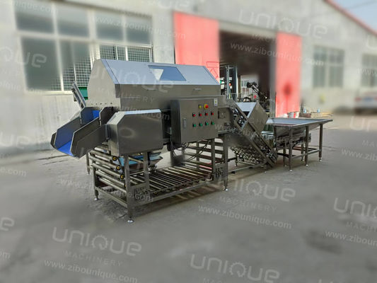 Linea automatica di lavorazione delle cipolle con la macchina per pelare e tagliare le cipolle per bevande alimentari