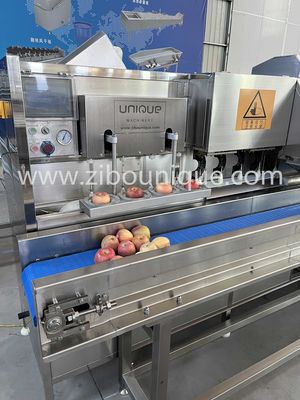 Voltage personalizzato 304 in acciaio inossidabile Macchine per pelare le mele e le pere