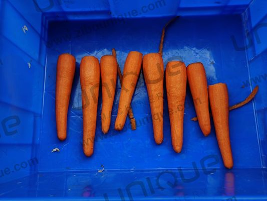 Appoggio online Carrot Daikon Vegetable Knife Peeler Machine per la pelazione