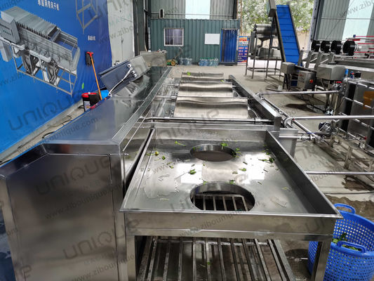 1000 kg/h Lavatrice di pomodori industriale Lavatrice di frutta di mais Lavatrice di verdura di cipolle Lavatrice di pulizie