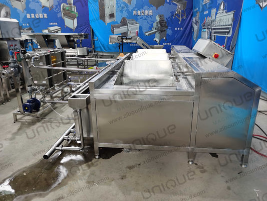 1000 kg/h Lavatrice di pomodori industriale Lavatrice di frutta di mais Lavatrice di verdura di cipolle Lavatrice di pulizie