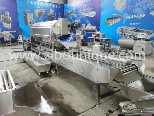 Hotels' Top Pick Automatic Continuous Brush Potato Peeling Line con capacità di 1040 KG