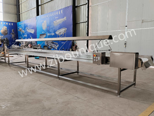 220v/ 380v Acciaio inossidabile 304 Noce Selezionare nastro trasportatore per la macchina di selezione uvetta