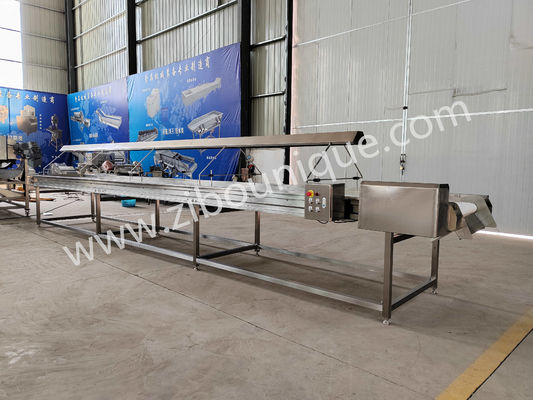 220v/ 380v Acciaio inossidabile 304 Noce Selezionare nastro trasportatore per la macchina di selezione uvetta