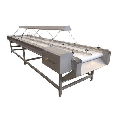Selezione di frutta e verdura Sorting Machine per la divisione delle date